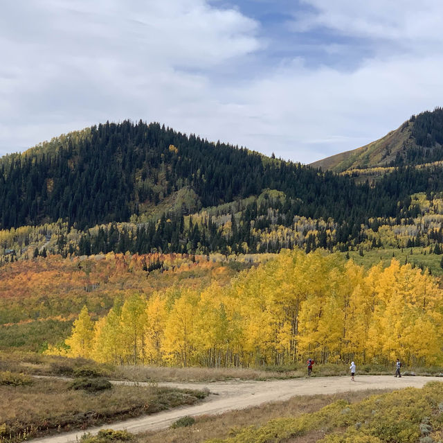 Fall Colors Outside Salt Lake City 