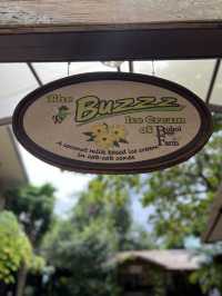 Organic and delicious food in Bohol