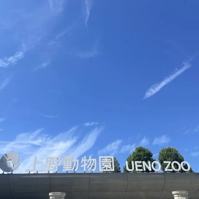 【東京観光】パンダだけじゃないよ!上野動物園🐼