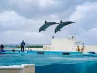 Okinawa Aquarium 