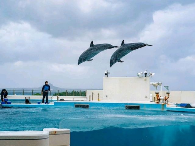 Okinawa Aquarium 