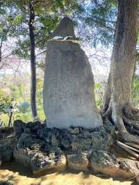 【九重神社/埼玉県】川口市指定の保存樹木「スダジイ」が圧巻！