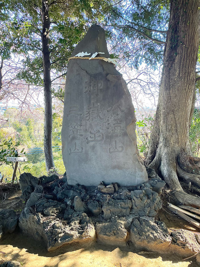 【九重神社/埼玉県】川口市指定の保存樹木「スダジイ」が圧巻！