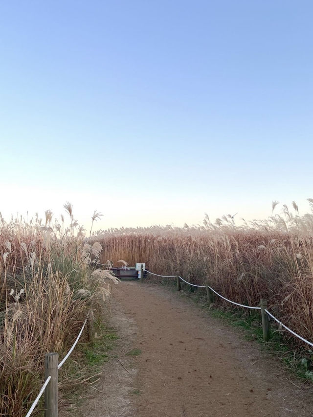 Haneul Park , South Korea