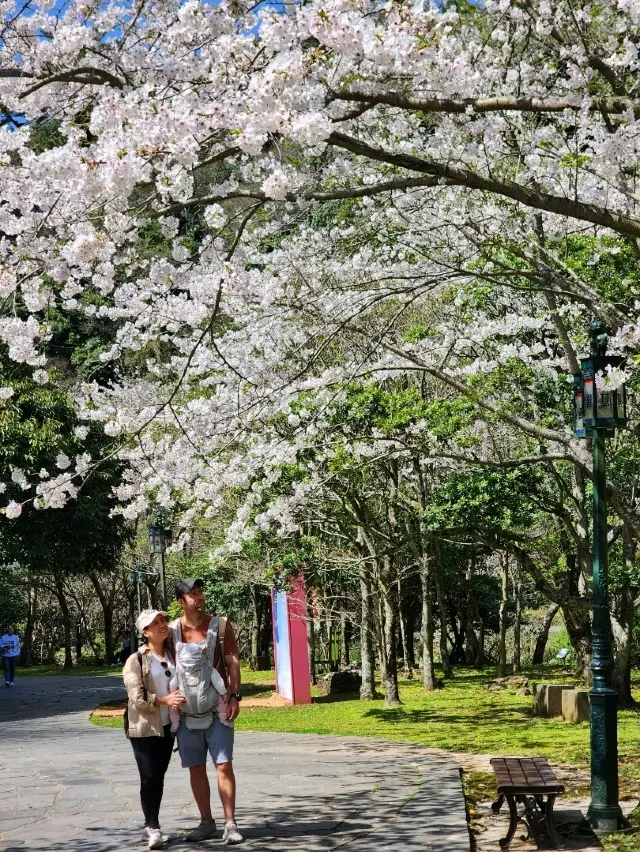 Jeju Seogwipo and Hallim Park