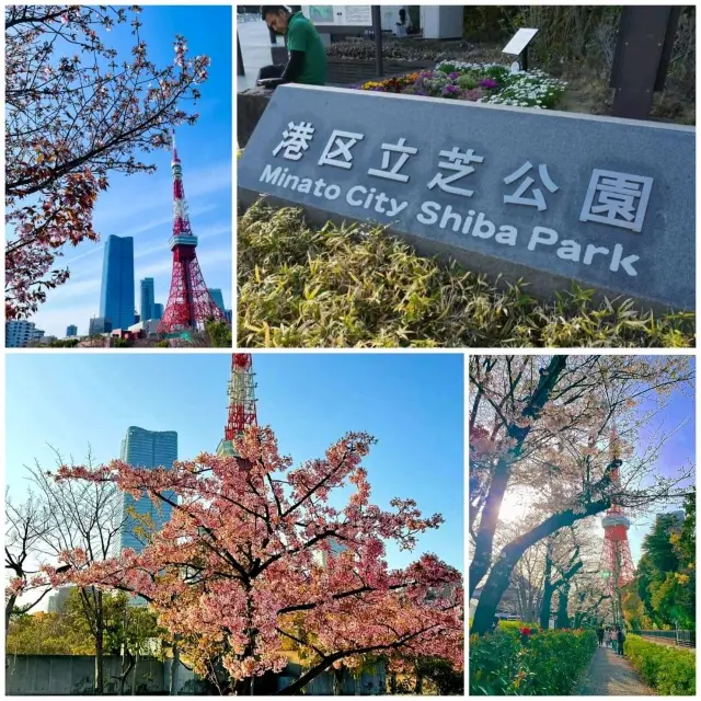 芝公園x 東京鐵塔