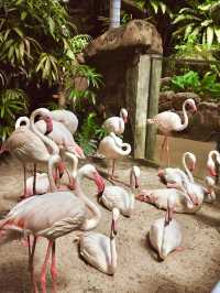 Sunway Lagoon Theme Park