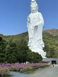 Tsz Shan Monastery, Hong Kong