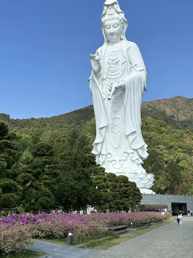 Tsz Shan Monastery, Hong Kong