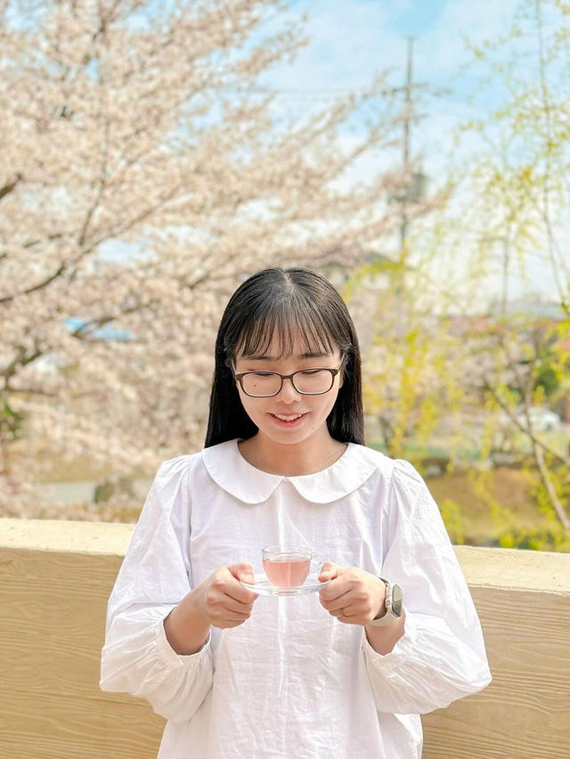 청주 사람들도 잘 모르는 숨은 벚꽃길과 카페 추천🌸💖