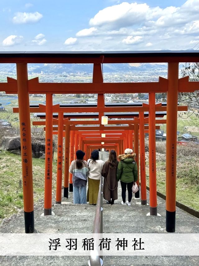 【福岡】連なる鳥居の先にある見晴らしのいい神社