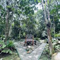 Poring Hot Springs @ Kota Kinabalu 🇲🇾