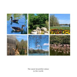 【East London Zoo】Get up close with rare animals