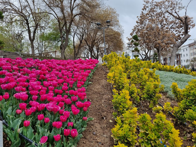 Alaaddin Hill Park