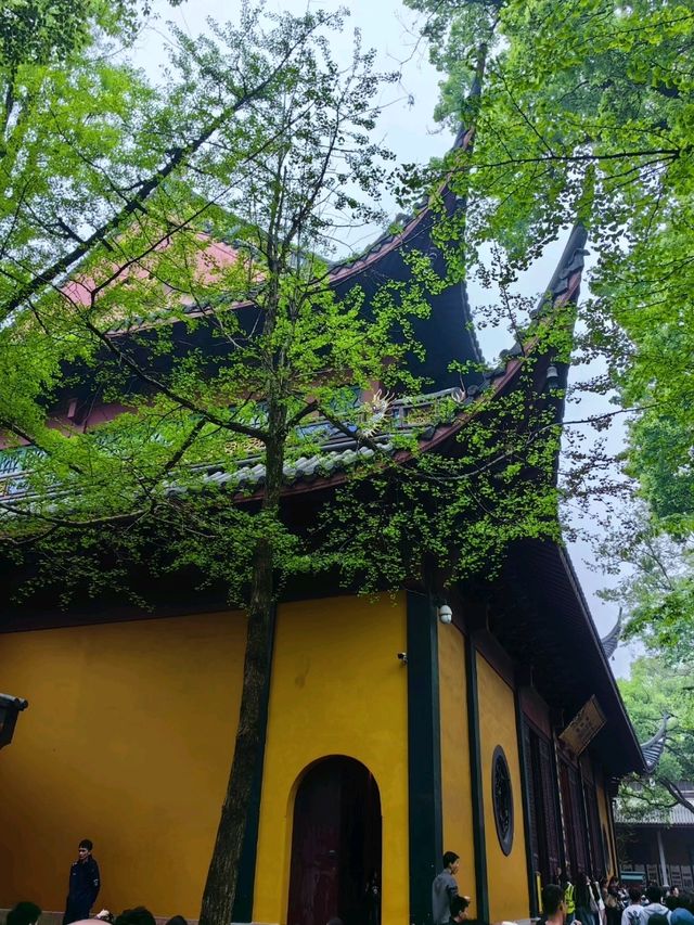 The Majestic LingYin Temple 