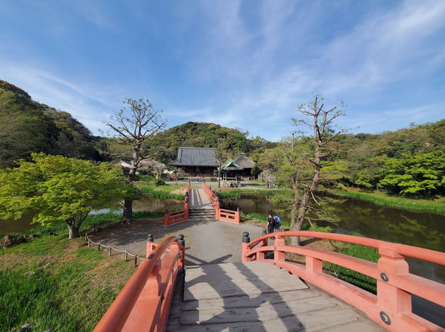 Shomyo Temple 