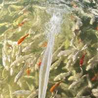 Leaf Lake Kan Resort (ลีฟ เลค กาญจน์ รีสอร์ท)