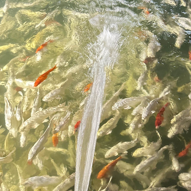 Leaf Lake Kan Resort (ลีฟ เลค กาญจน์ รีสอร์ท)