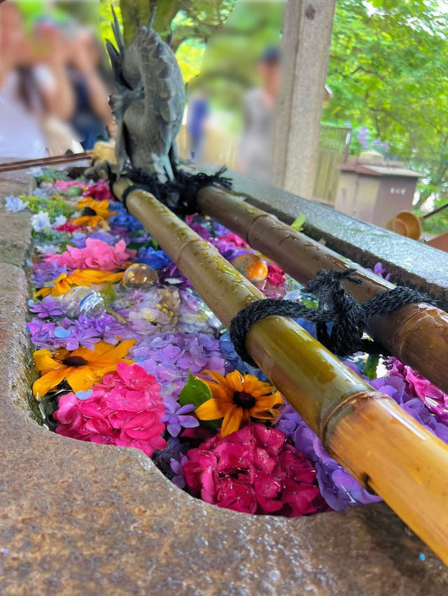 【茨城】紫陽花の水中花が絶景すぎる💙一度は行きたいあじさい寺