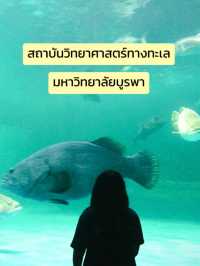 7 พิกัด One Day Trip ชลบุรี 🥥🪼