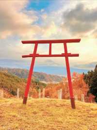 【山梨】神社好きは絶対行くべき🤍その名も天空の鳥居