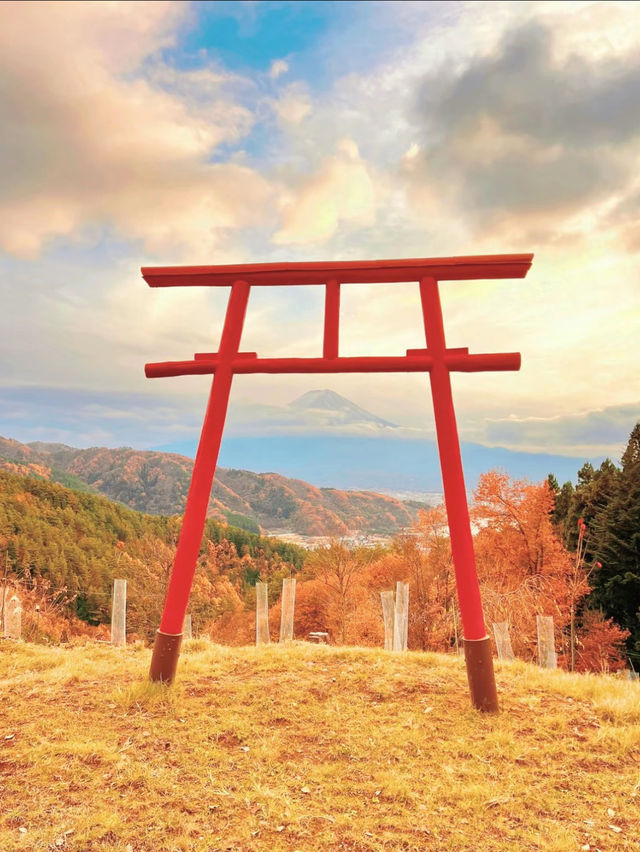 【山梨】神社好きは絶対行くべき🤍その名も天空の鳥居