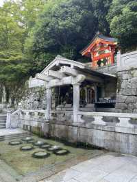 【京都】朝08:05人が少ない音羽の瀧