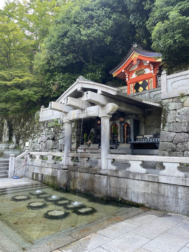 【京都】朝08:05人が少ない音羽の瀧