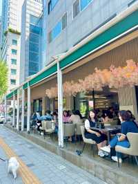 석촌호수 실내 데이트 장소 추천!
