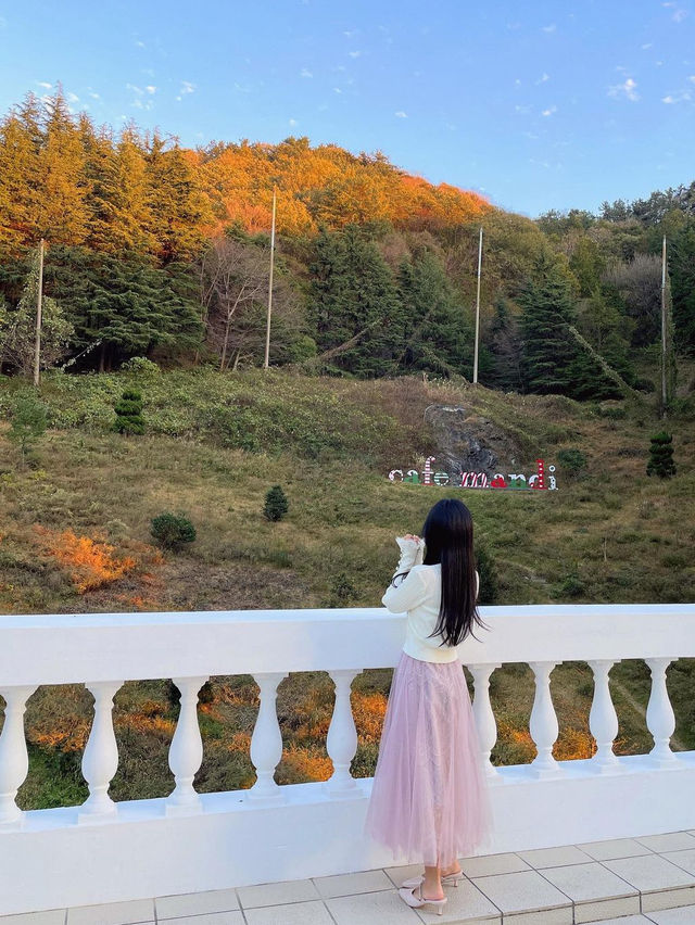 해리포터와 크리스마스 분위기가 공존 하는 이곳!