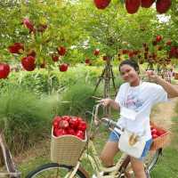 คาเฟ่สไตล์สวนผลไม้ใกล้วัดถ้ำเสื้อ มุมถ่ายรูปเพียบ