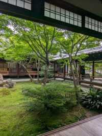日本京都-栩栩如生的雙龍壁畫：建仁寺