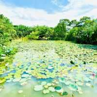 🇸🇬 Wetlands at Gardens by the Bay