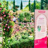 🇸🇬 Embark on a Rose Journey 