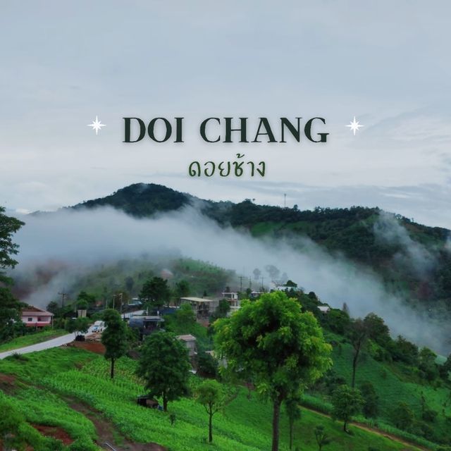 ดอยช้าง