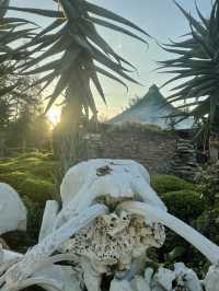 🦓세렝게티 못지 않은 화려한 동물들의 초원! 케냐 마사이마라 국립공원