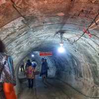 วัดสามพราน ชมพญามังกรตะกายฟ้า