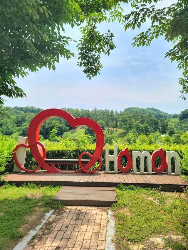 초록 싱그러운 함안 대표 생태공원🌿