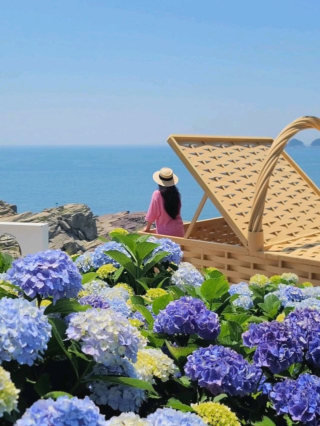 현시각 거제에서 가장 예쁜 수국카페💙