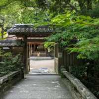 日本宇治-靜謐山林中的世界文化遺產：宇治上神社
