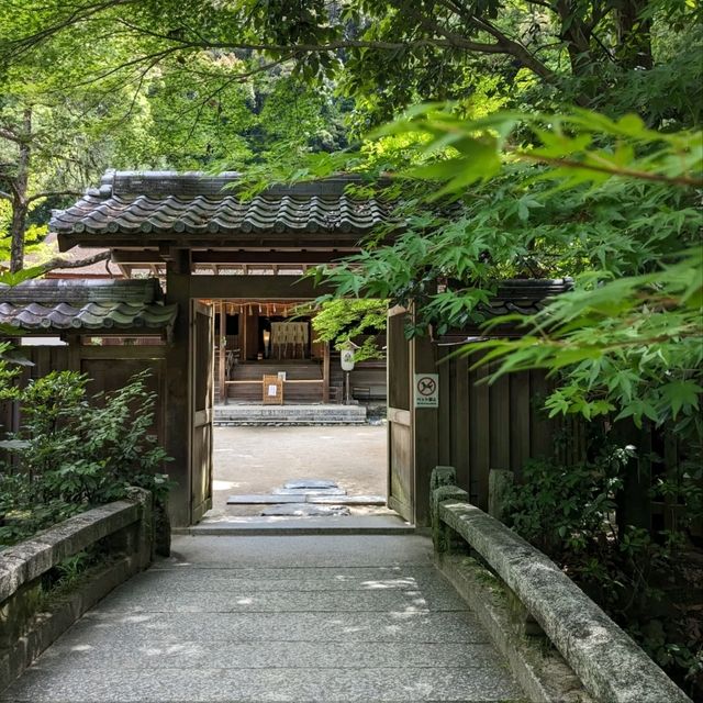 日本宇治-靜謐山林中的世界文化遺產：宇治上神社