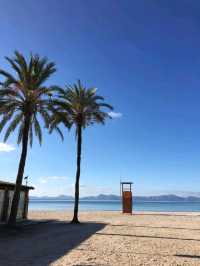 【西班牙馬略卡島】Alcúdia：海灘，市場，四季好天氣