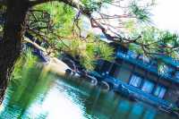 【愛知】新緑がきれいな徳川園