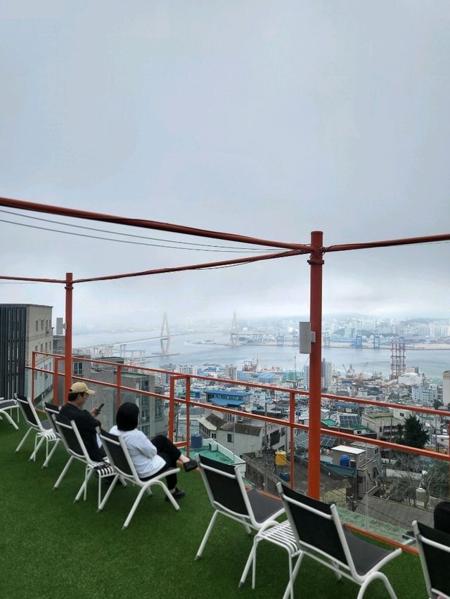 영도에서 가장 귀여운 카페는 여기
