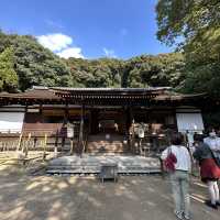 〜京都府宇治市〜日本最古の神社！世界遺産宇治上神社