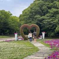【大阪市區】繡球花園，值得一去既好地方