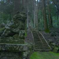 滝山に鎮座する苔むすの神社