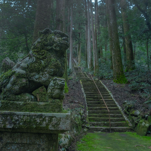 滝山に鎮座する苔むすの神社