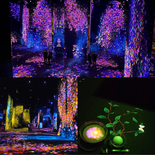 澳門永利皇宮 teamLab 藝術展：互動夢幻景象，適合親子同遊