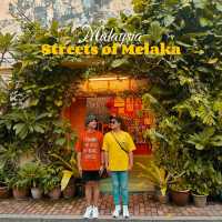 Melaka Unveiled: Street Secrets and Hidden Gems